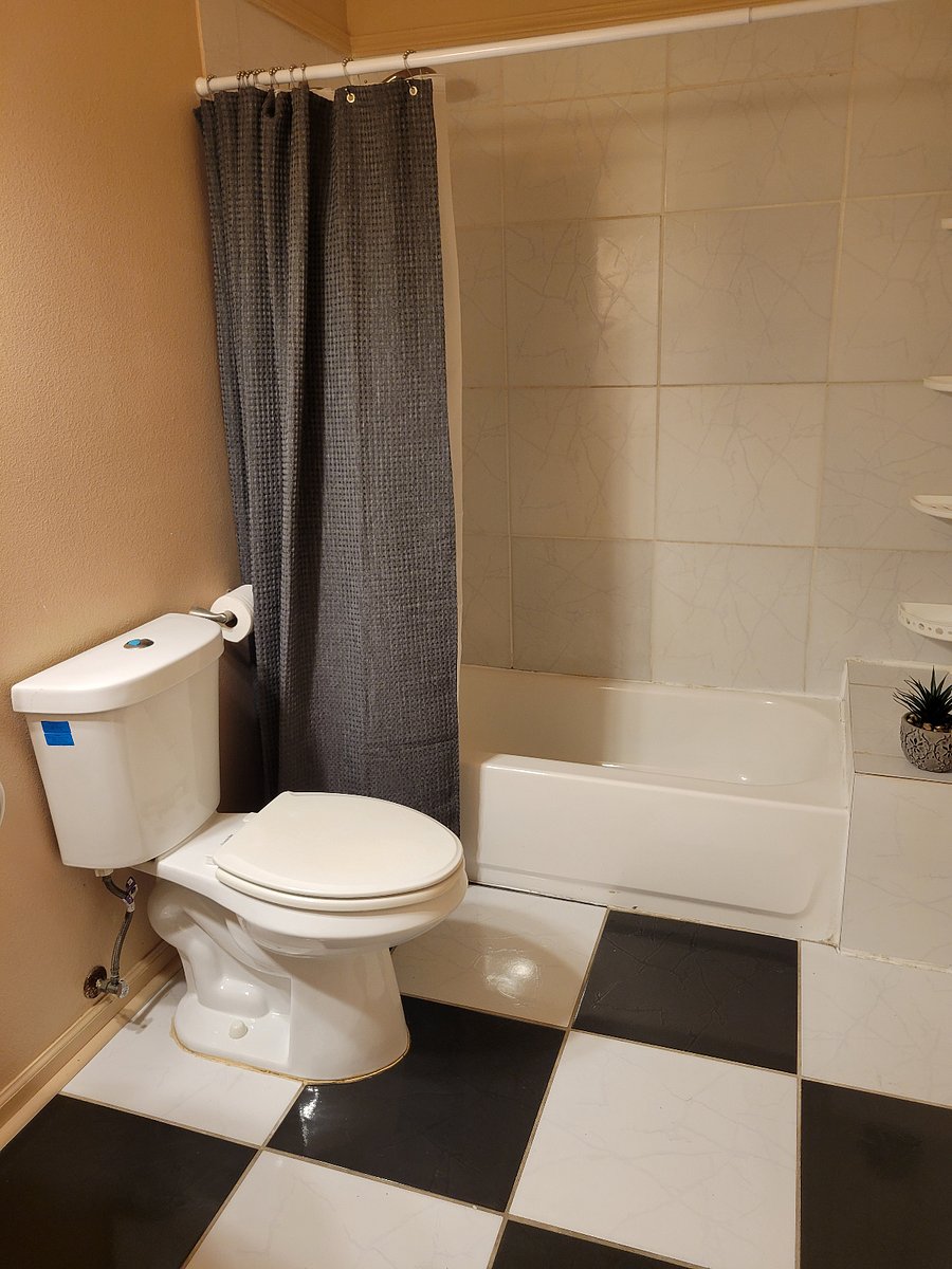 Furnished Finder property 252989_1 photo 6
