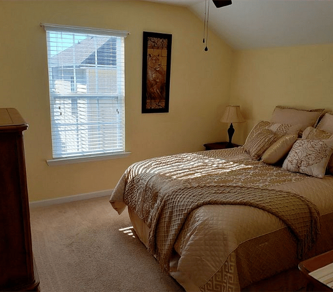 Furnished Finder property 253051_1 photo 11