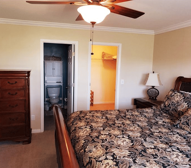 Furnished Finder property 253051_1 photo 8
