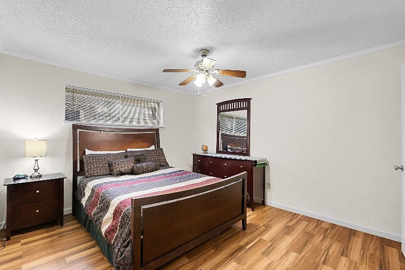 Furnished Finder property 253125_7 photo 10