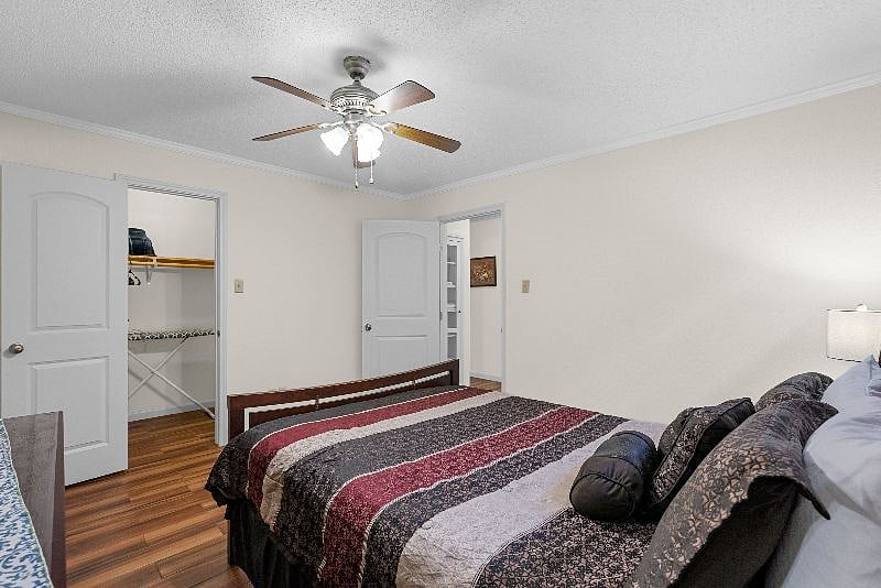 Furnished Finder property 253125_7 photo 11