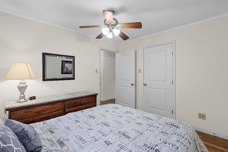 Furnished Finder property 253125_7 photo 13