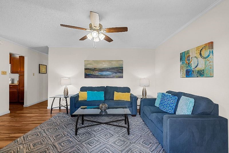 Furnished Finder property 253125_7 photo 14
