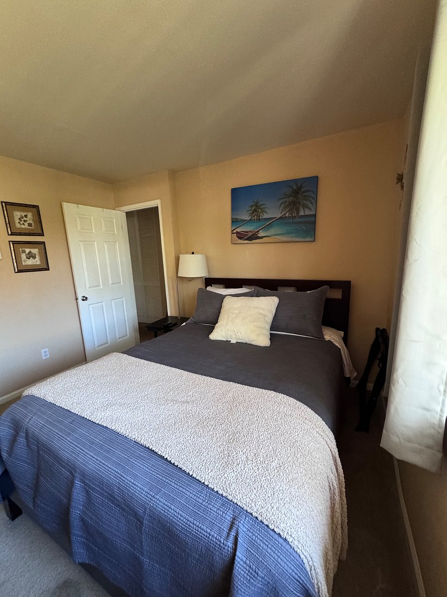 Furnished Finder property 253346_1 photo 4