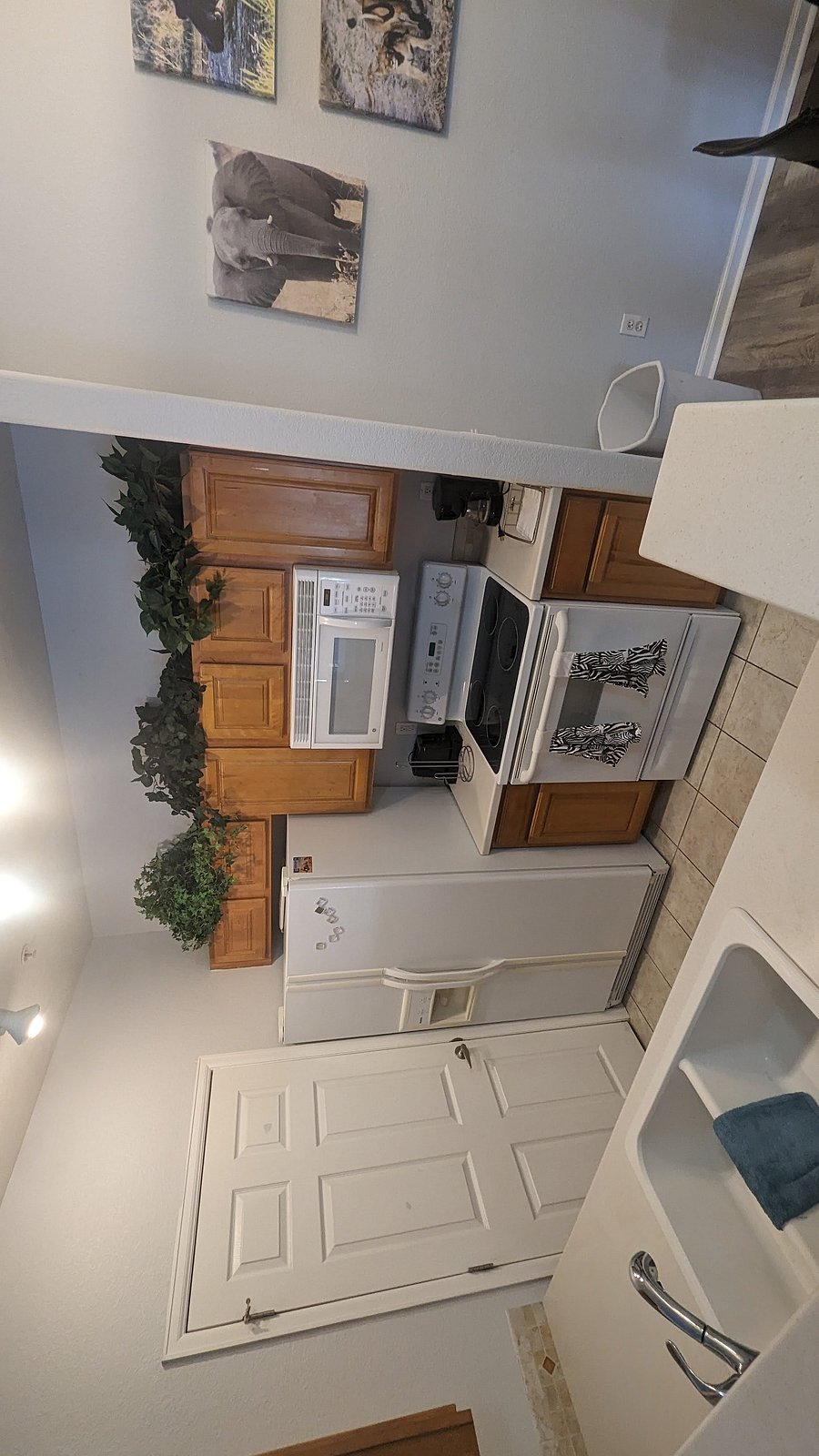 Furnished Finder property 253365_1 photo 3
