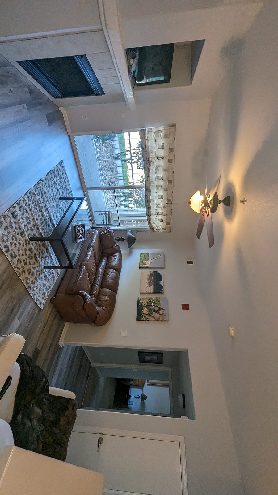 Furnished Finder property 253365_1 photo 21