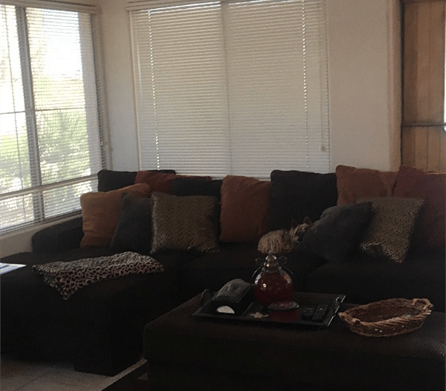 Furnished Finder property 253418_1 photo 4