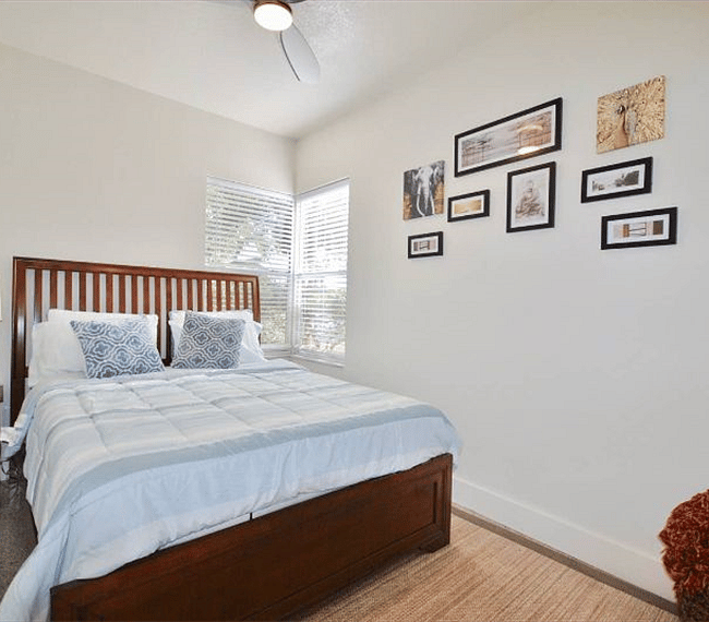 Furnished Finder property 253555_1 photo 9