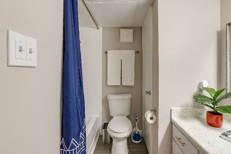 Furnished Finder property 253578_10 photo 21