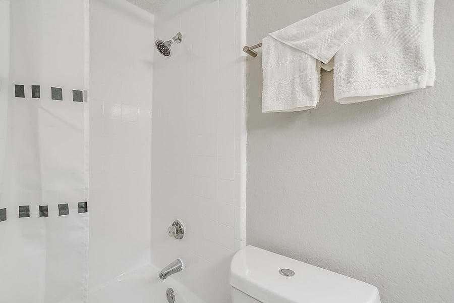 Furnished Finder property 253578_23 photo 64