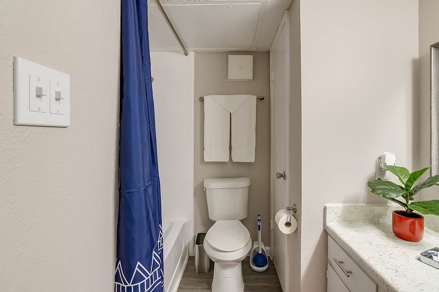 Furnished Finder property 253578_25 photo 53