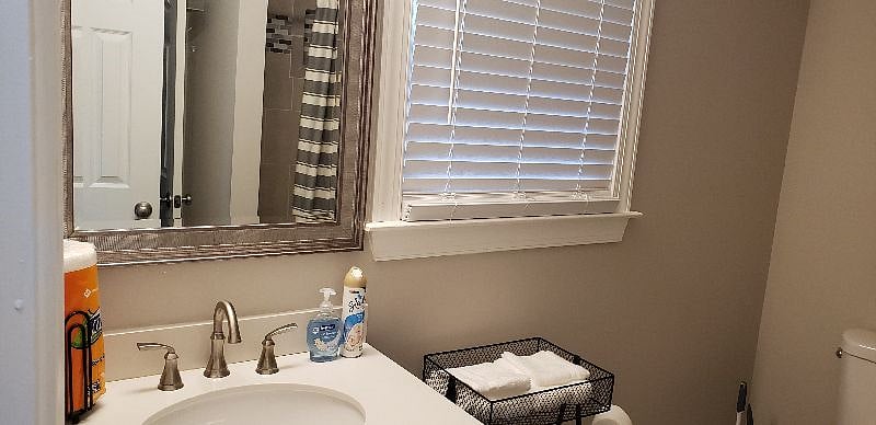 Furnished Finder property 254213_2 photo 14