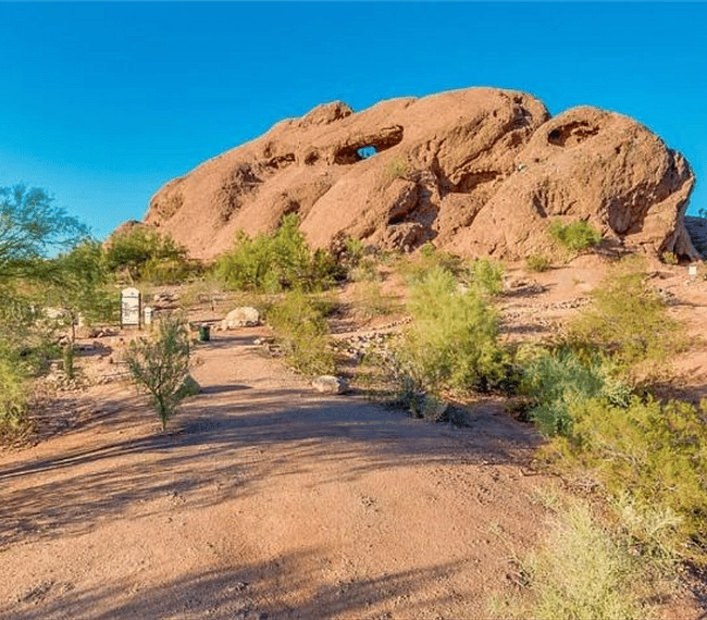 Walk 1 mile or drive 3 min to enjoy desert scenery and plenty of hiking trails at Papago Park. 