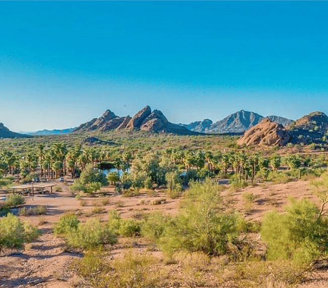 Walk 1 mile or drive 3 min to enjoy desert scenery and plenty of hiking trails at Papago Park. 