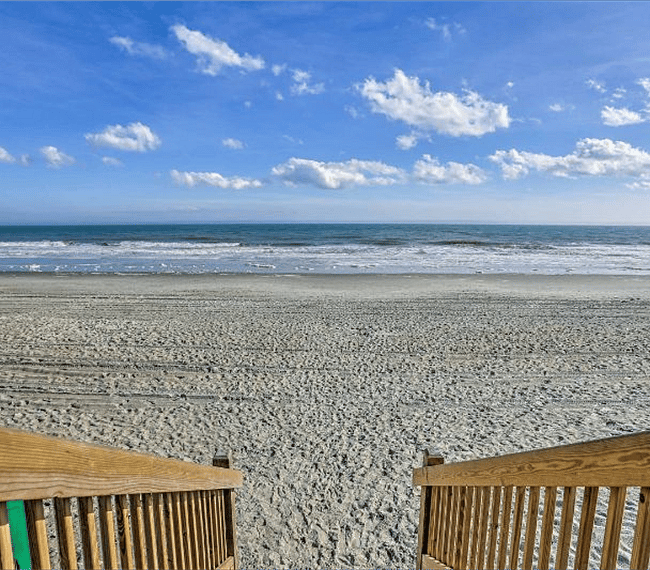 Furnished Finder property 254650_1 photo 14