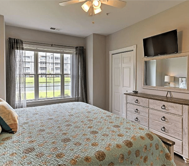 Furnished Finder property 254650_1 photo 6
