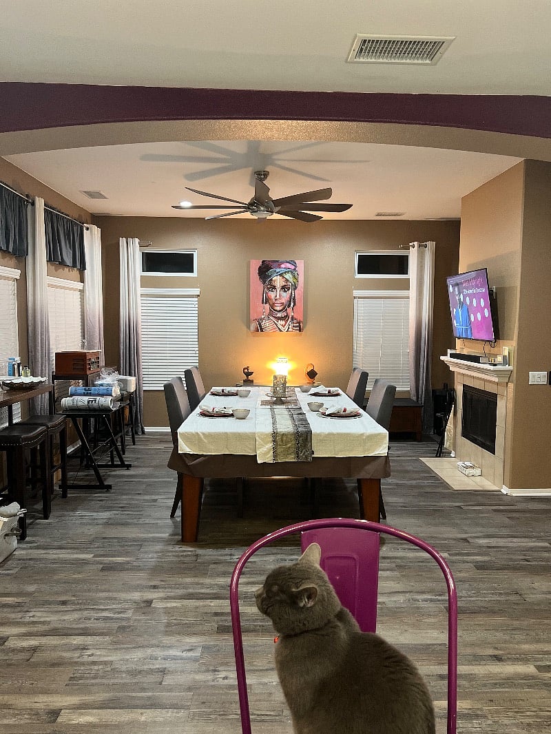 Furnished Finder property 254663_2 photo 15