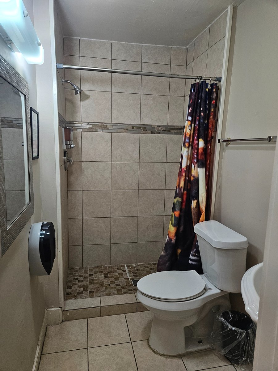 Furnished Finder property 254746_2 photo 6