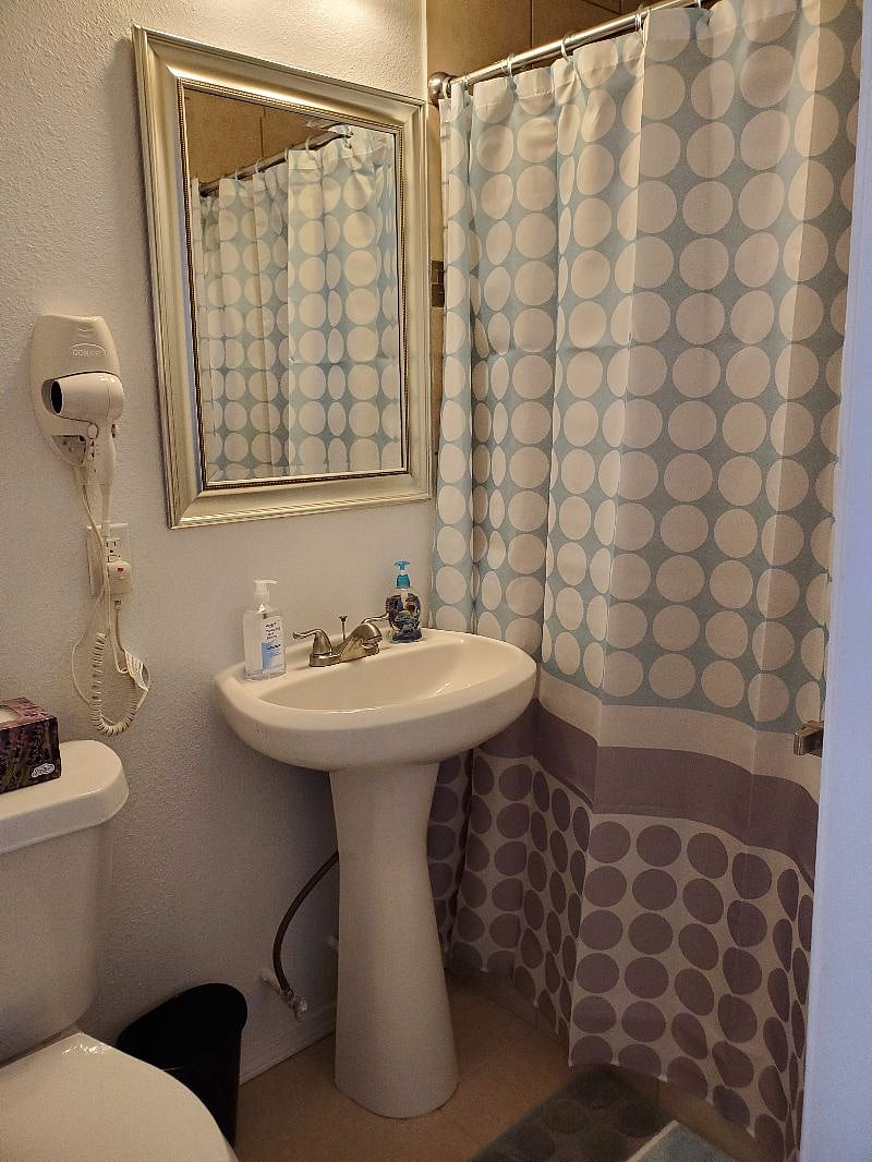 Furnished Finder property 254746_5 photo 5