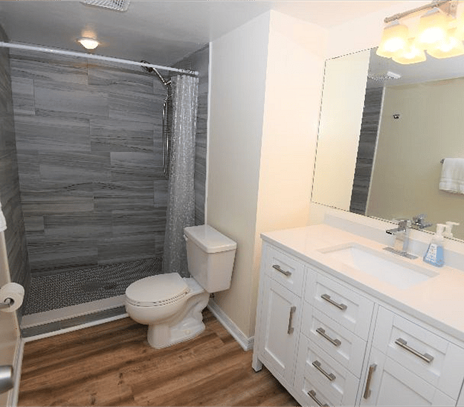 Primary bathroom with step-in shower
