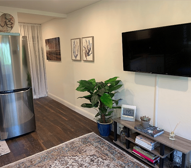 Flat screen TV