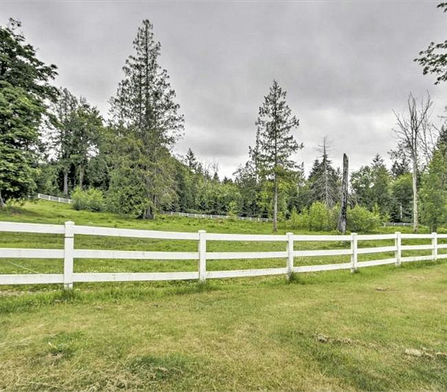 The property is lined with towering trees and lush foliage.