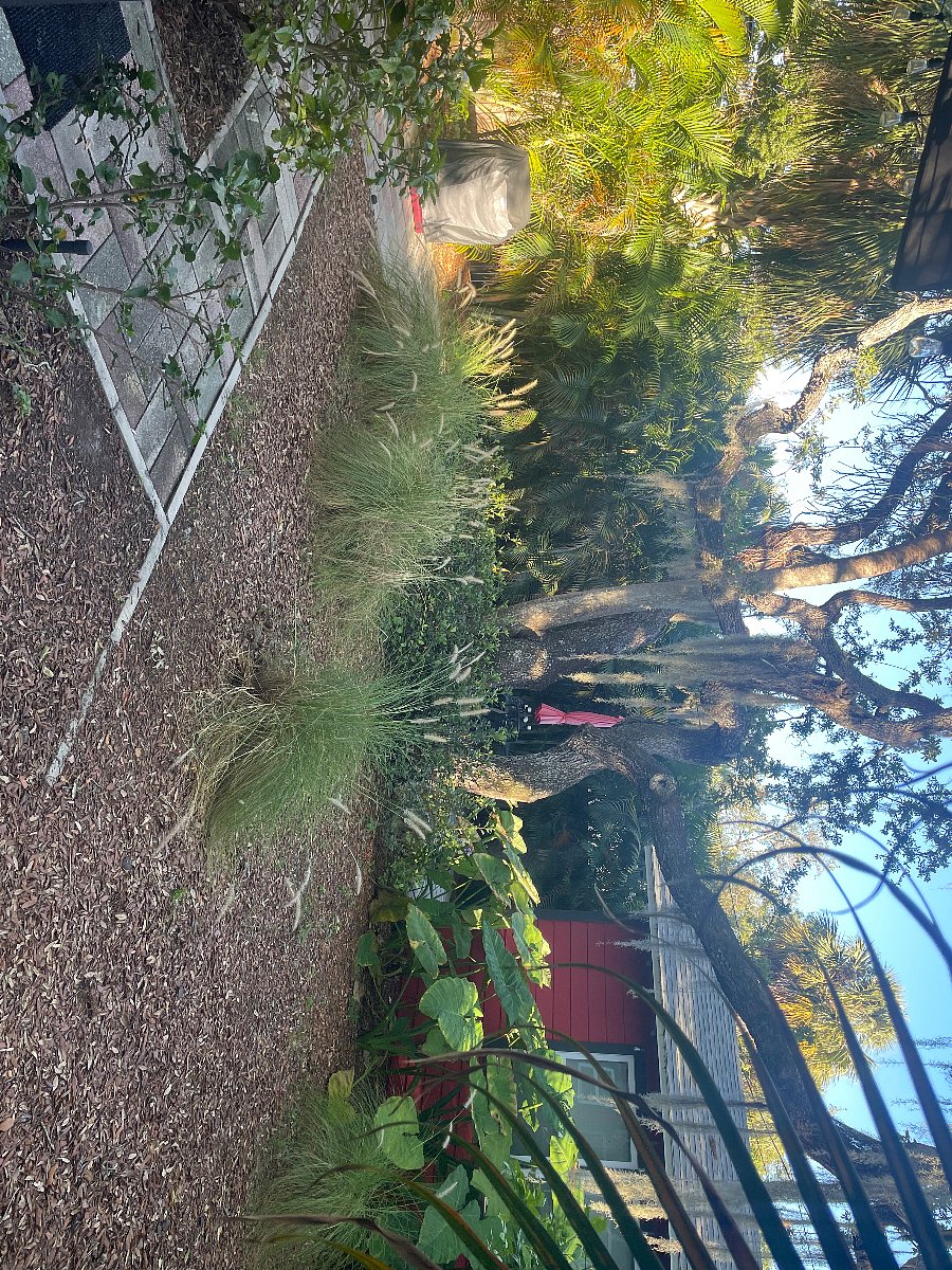 Serene back yard. Fully fenced and private.