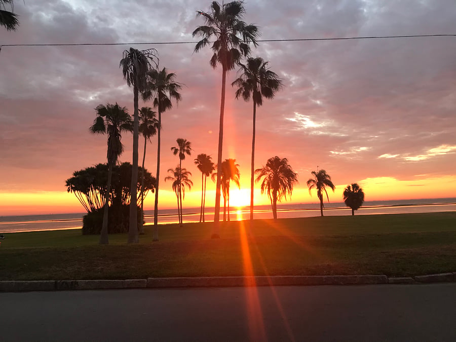 2 block walk to Lassing Park and Tampa Bay for these beautiful sunrises.
