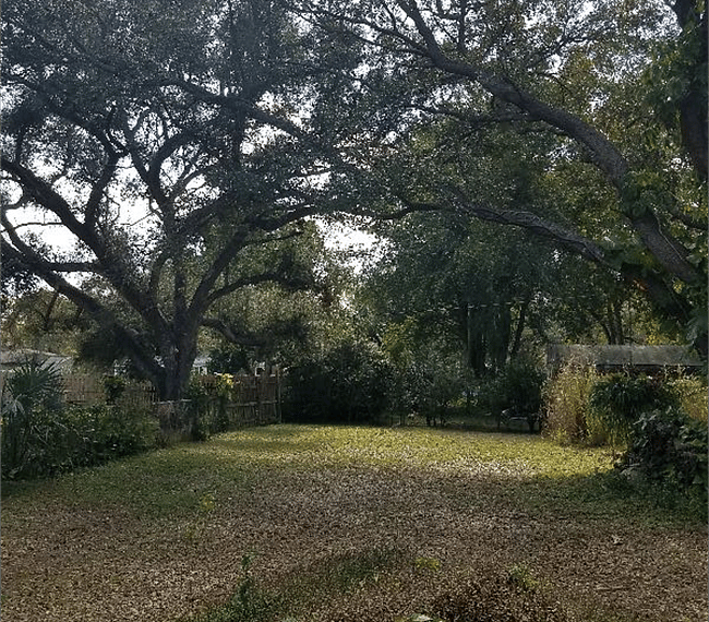 Furnished Finder property 255393_1 photo 5