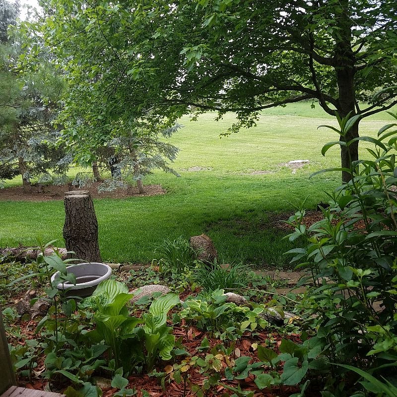 Furnished Finder property 255597_1 photo 10