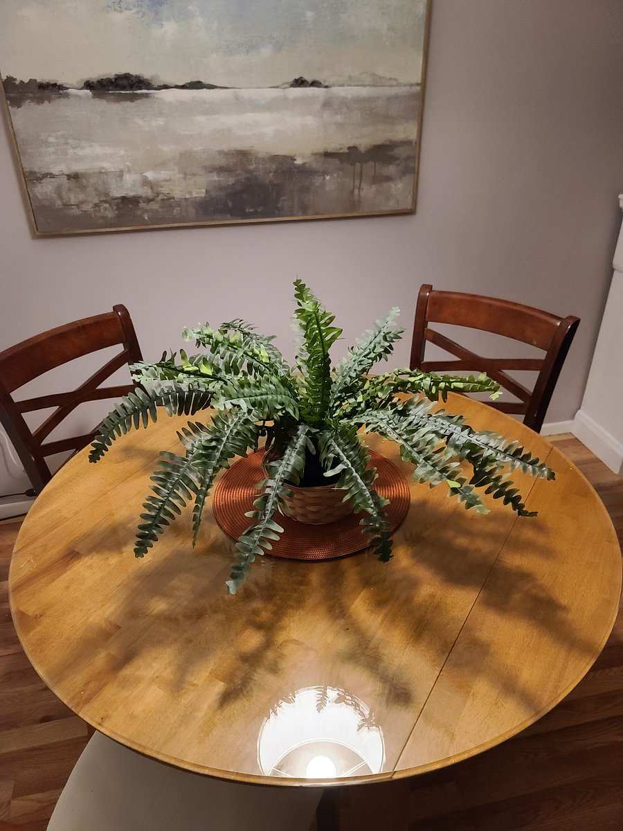 Furnished Finder property 255650_1 photo 7