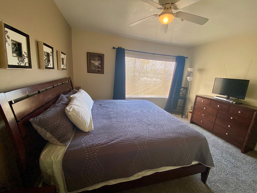 Furnished Finder property 255773_1 photo 12