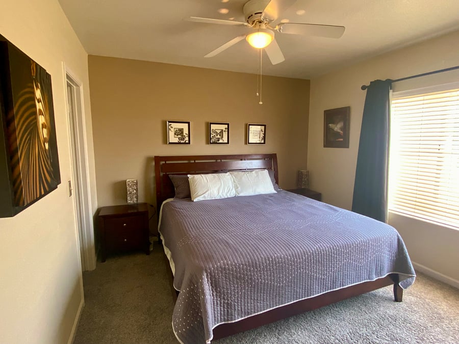 Furnished Finder property 255773_1 photo 13