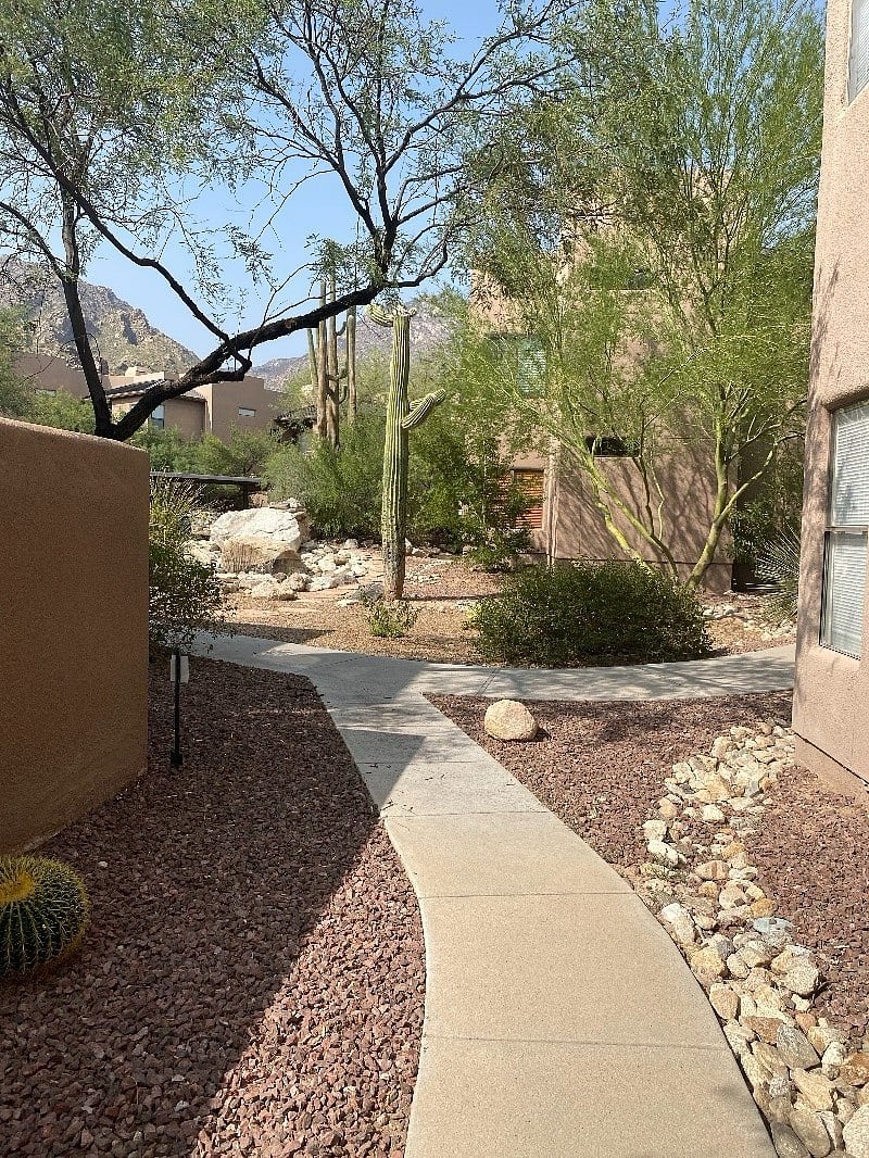 Furnished Finder property 256230_1 photo 16