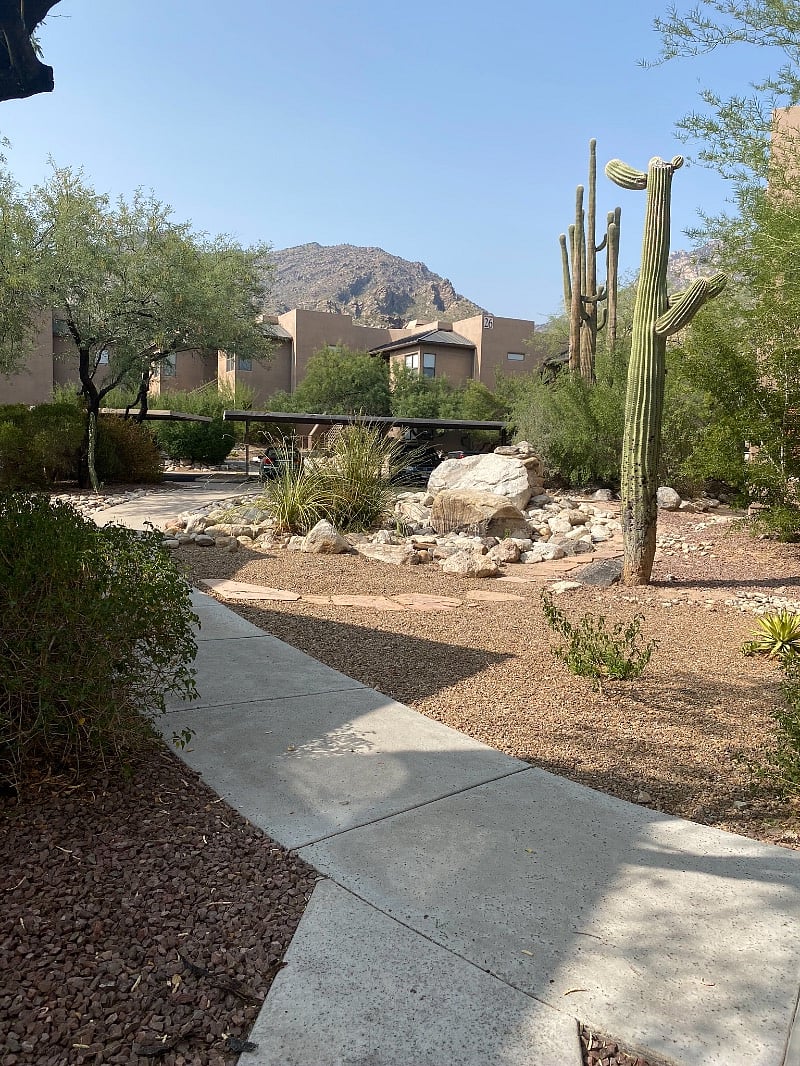 Furnished Finder property 256230_1 photo 15