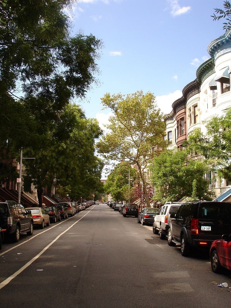 Friendliest block in Harlem!