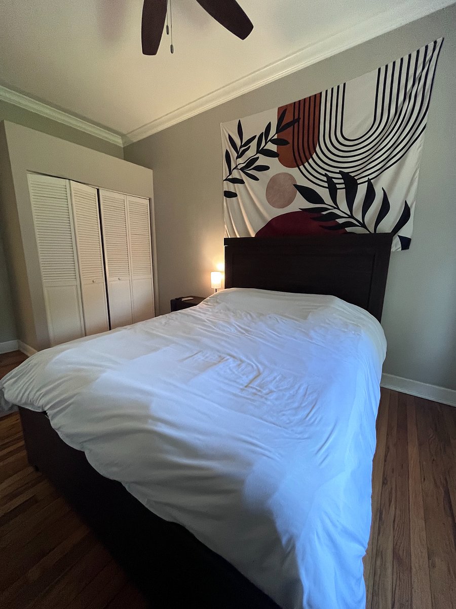 Furnished Finder property 256561_1 photo 20