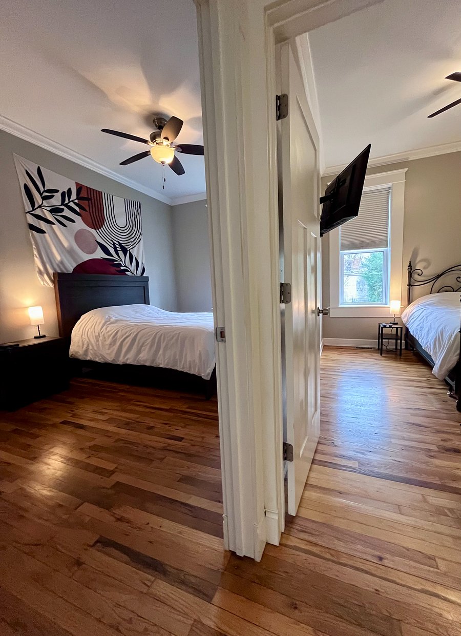 Furnished Finder property 256561_1 photo 21