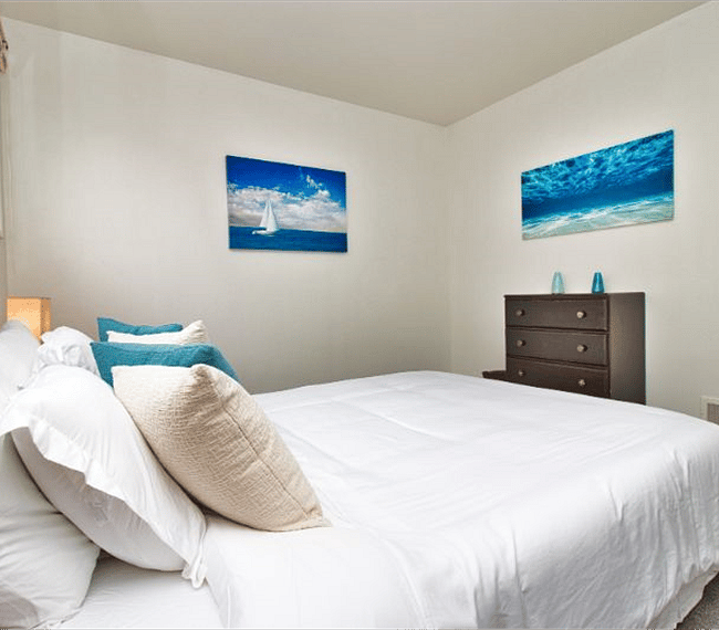 Furnished Finder property 256967_1 photo 16