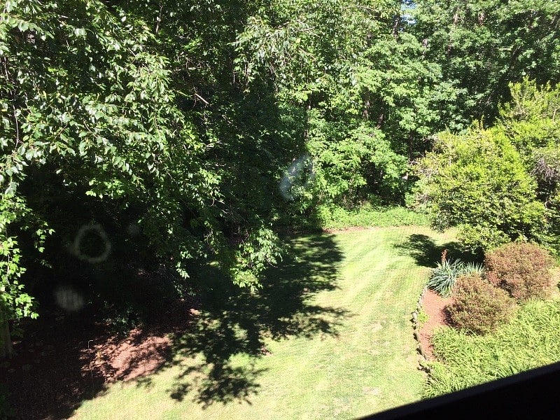 Another view from the bedroom, but some of the trees have been cut back.
