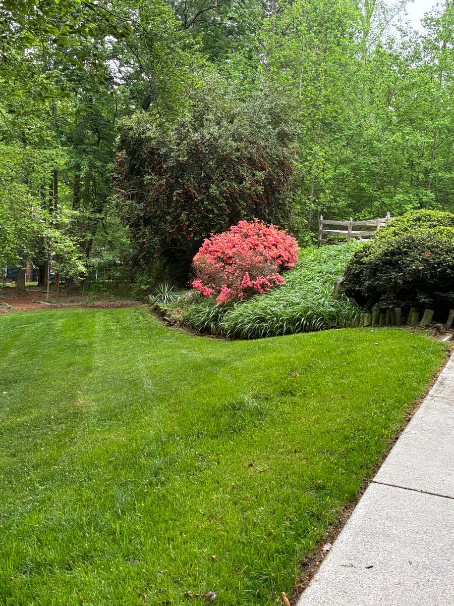 Furnished Finder property 256973_2 photo 17