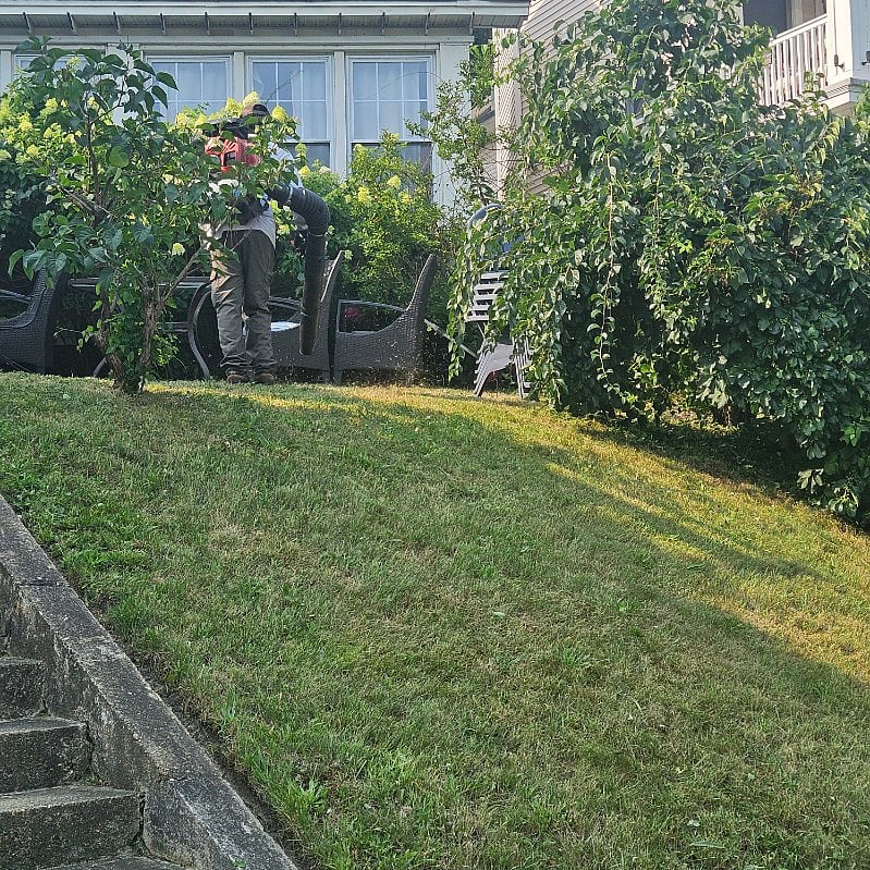 Furnished Finder property 257078_1 photo 20