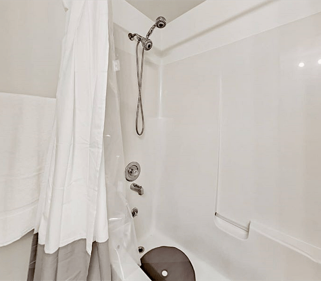 Master bath shower