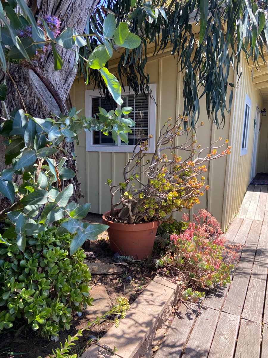 Furnished Finder property 257385_1 photo 10