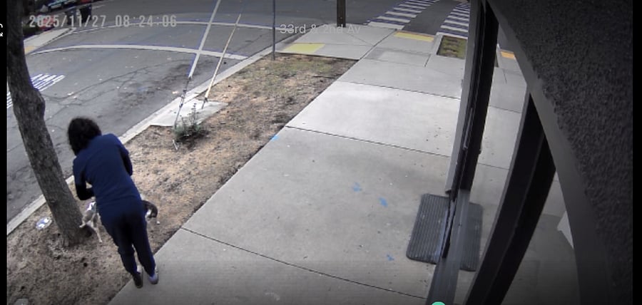 Security camera is the first layer of a multi-prong system that protests you so you can feel at ease.