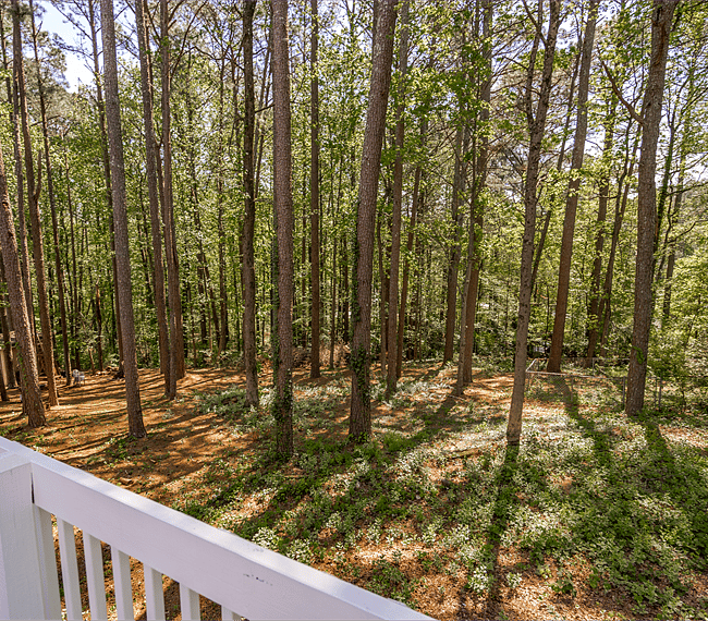 Furnished Finder property 257770_1 photo 24