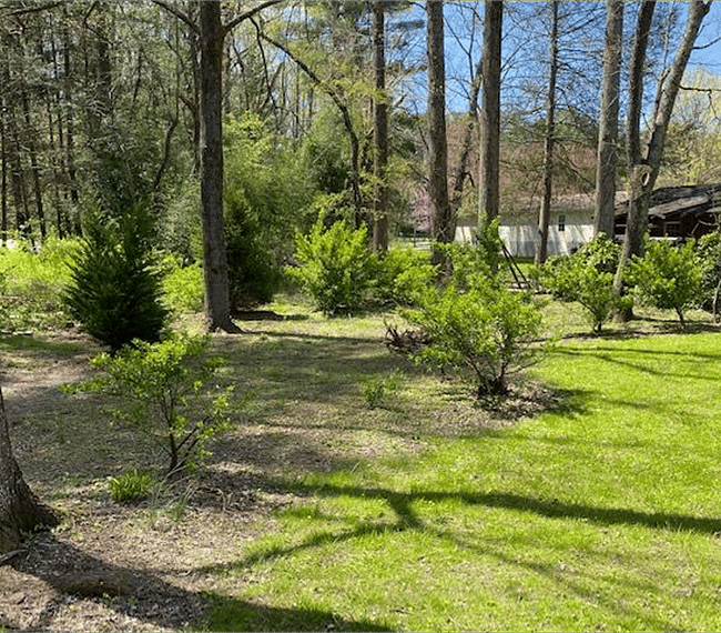 Furnished Finder property 257841_1 photo 10