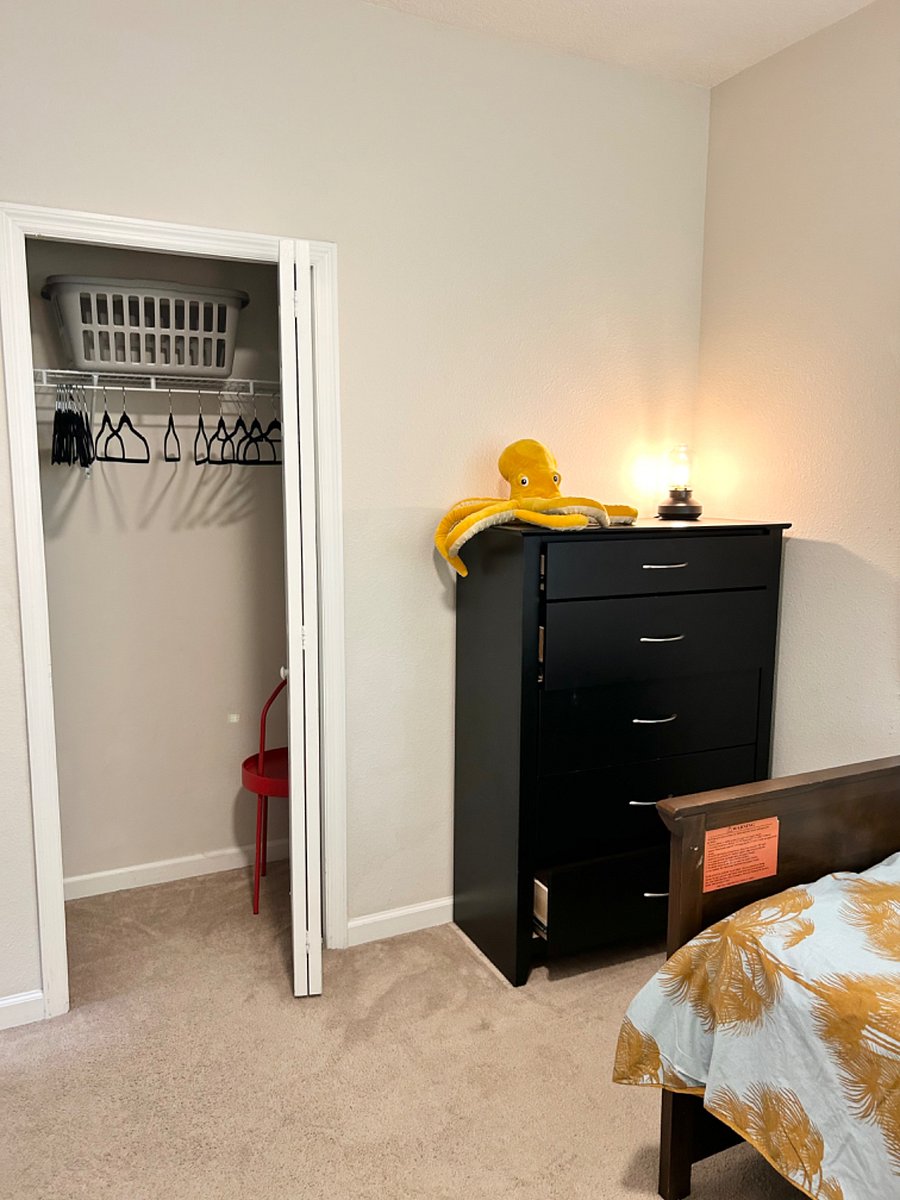Furnished Finder property 257859_1 photo 46
