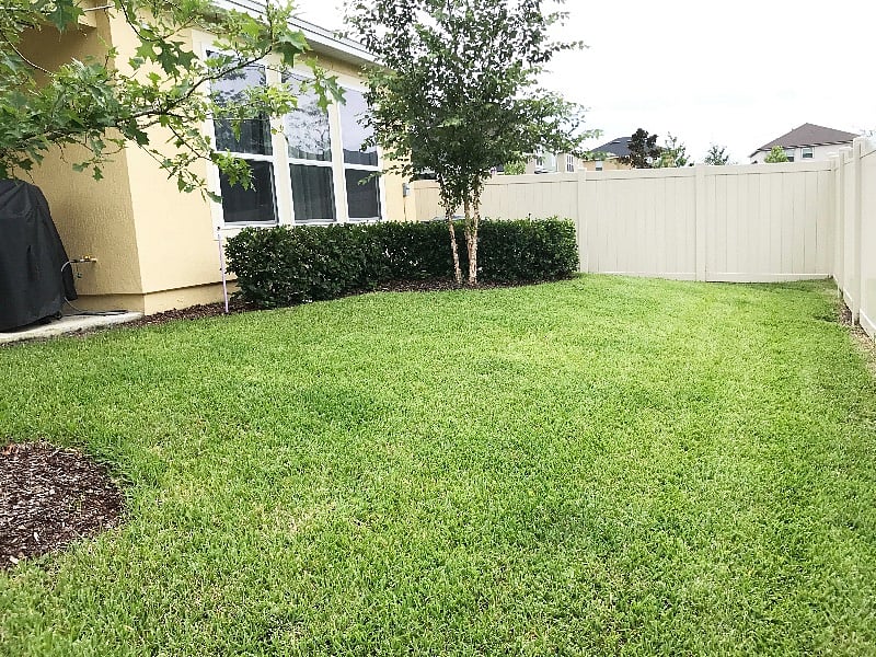 Furnished Finder property 257859_1 photo 57