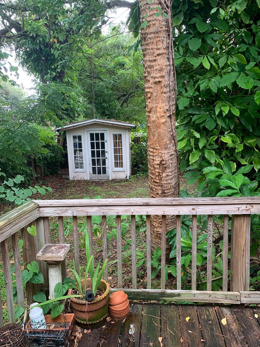 Furnished Finder property 257899_1 photo 22